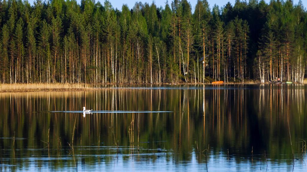 Rajan Loma Cottages Joensuu Exteriér fotografie