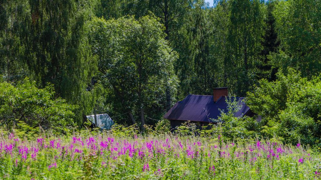 Rajan Loma Cottages Joensuu Exteriér fotografie