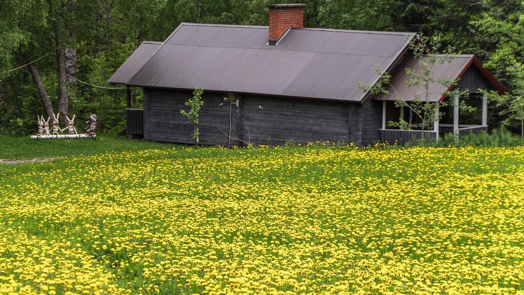 Rajan Loma Cottages Joensuu Exteriér fotografie
