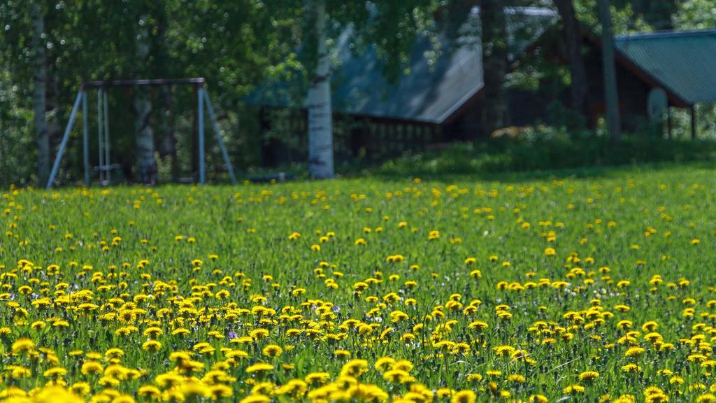 Rajan Loma Cottages Joensuu Pokoj fotografie